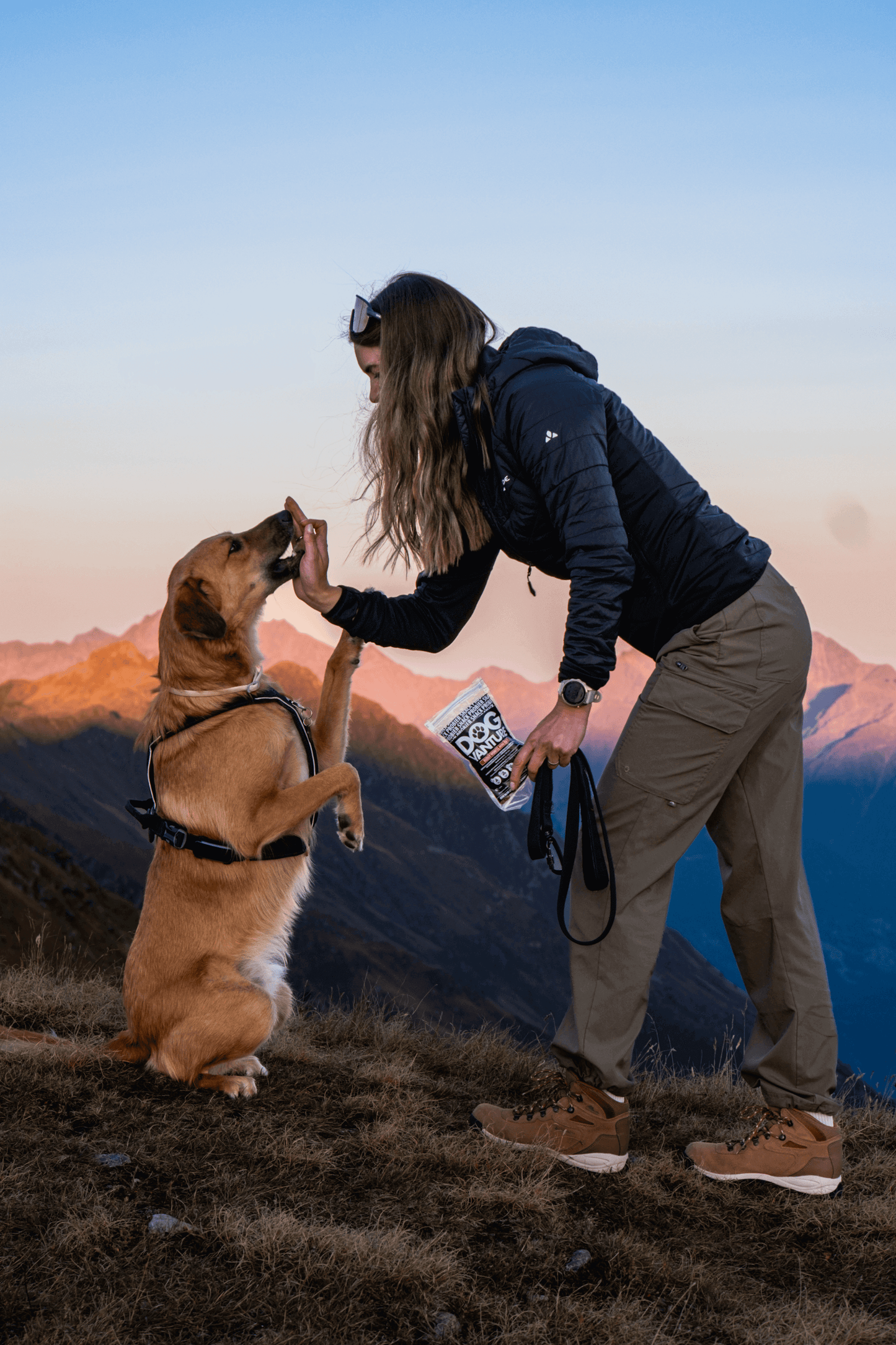 Pauli und Kiki testen Ente Hundeleckerli von Dogvanture