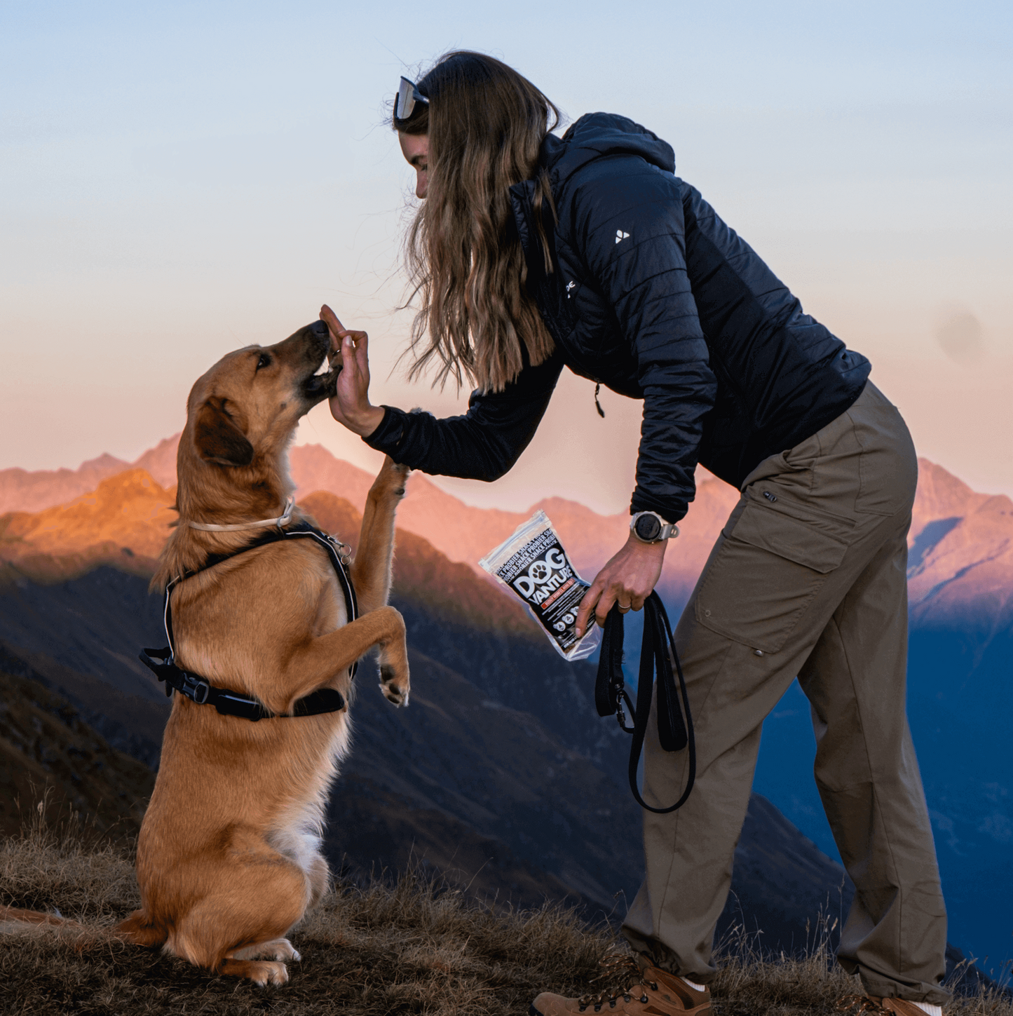 Pauli und Kiki testen Ente Hundeleckerli von Dogvanture