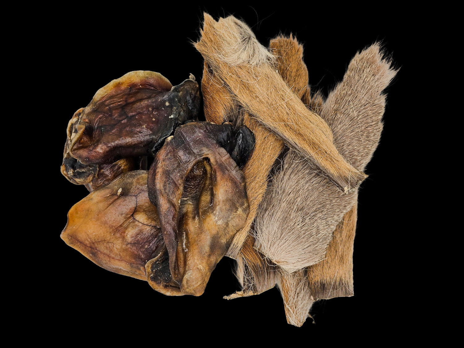 Kauartikel, Rehhaut mit Fell, Wildschweinohr