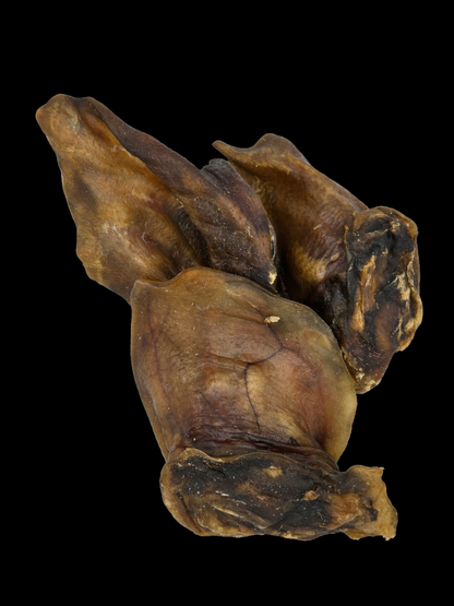 BUDDY KAUSNACK Wildschweinohren, 100% Naturprodukt, 10 Stück