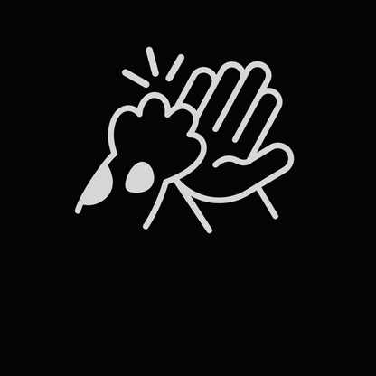 kauartikel hund
leckerlies für hunde
leckerli hund
hunde snacks