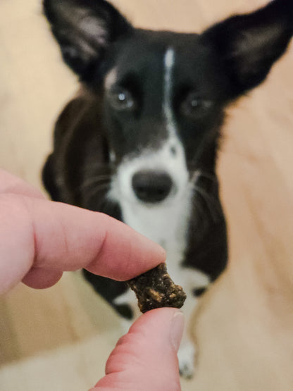 Bunny vor Dogvanture Hundeleckerli Ziege Mini, 100 % Monoprotein