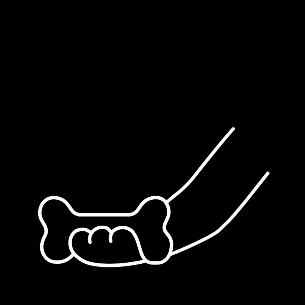 Lachshaut Sticks