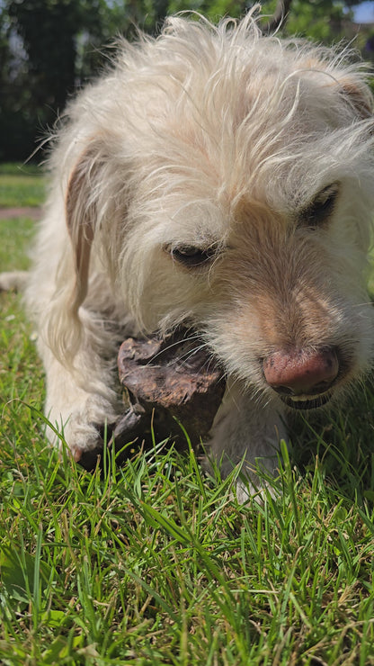 BUDDY CHEW - LAMB LUNG PURE 100%