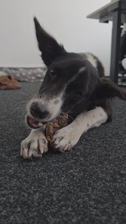 BUDDY KAUSNACK - ZIEGEN LUNGE PUR 100%