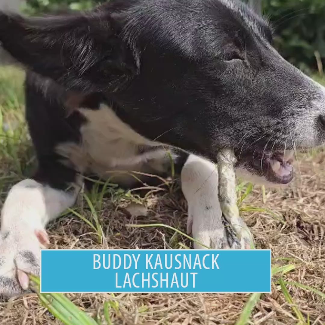 Dogvanture Buddy Snacks: Monoprotein-Hundeleckerli im Video