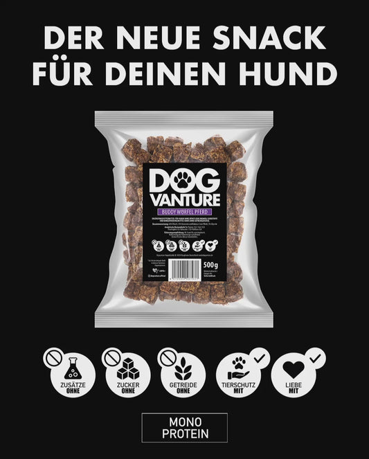 🌈 Buddy Würfel Rainbow Maxi Snack Pack – 9×100g bunte Abenteuerbox